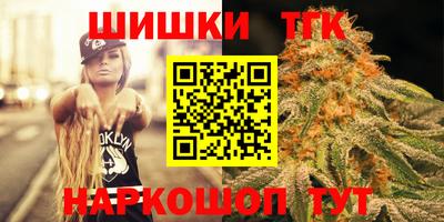 гашик Славгород