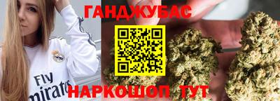 гашик Славгород