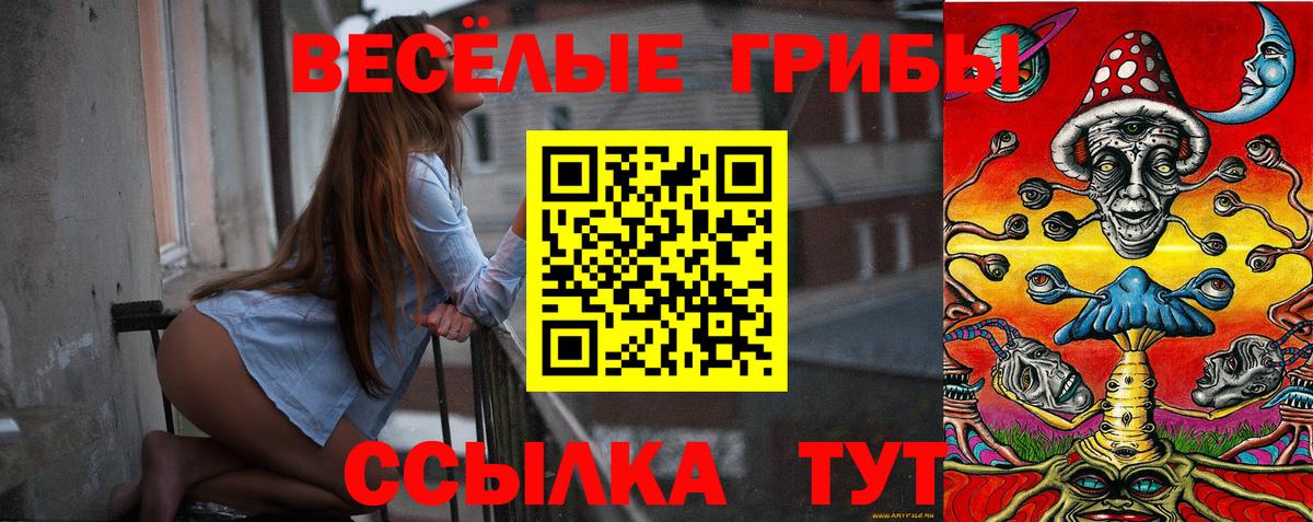 где купить наркоту  Вход с VPN  Нижнекамск  Псилоцибиновые грибы мицелий  Галлюциногенные грибы Cubensis 